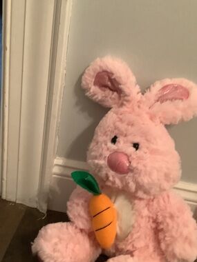 Plush Pink Bunny Holding Orange Carrot Plush